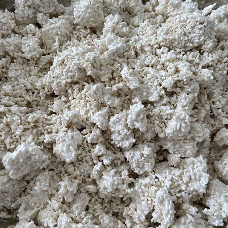 Kolumbia Gesha Koji - grzyb Aspergillus Orizae