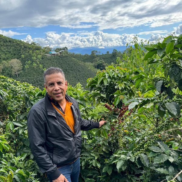 Kolumbia Finca Villa Rubiela Pink Bourbon Honey - Fernando Vargas na farmie Finca Villa Rubiela