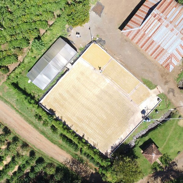 Kostaryka Hacienda Sonora Caturra Natural - widok na farmę z góry